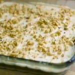 brownies-sprinkled-with-peanuts