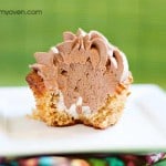 s'mores-bite