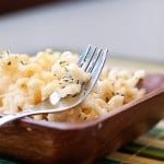 four cheese pasta