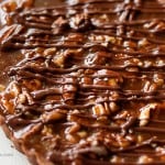 turtle tart