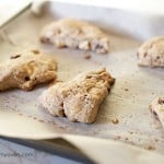 cranberry cream scones with white chocolate