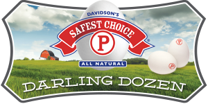 Darling Dozen Blogger