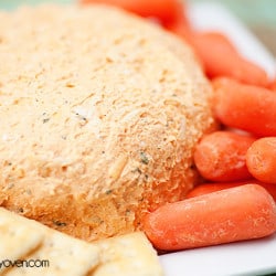 Buffalo Chicken Cheese Ball #recipe by bunsinmyoven.com - perfect party food! Spicy, creamy, & cheesy!