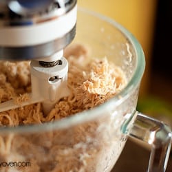 shredded chicken