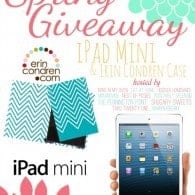 sping-ipad-mini-giveaway.HH_