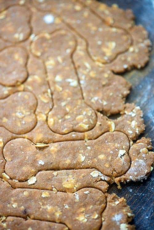 homemade dog treats with bone cookie cutter