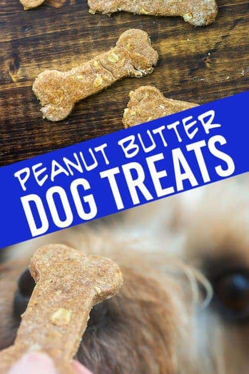 homemade peanut butter banana dog treats