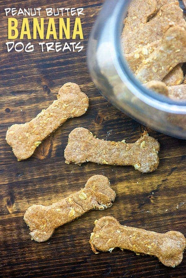 peanut butter dog treats