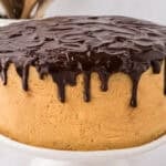 Chocolate peanut butter cheesecake cake on cake stand.