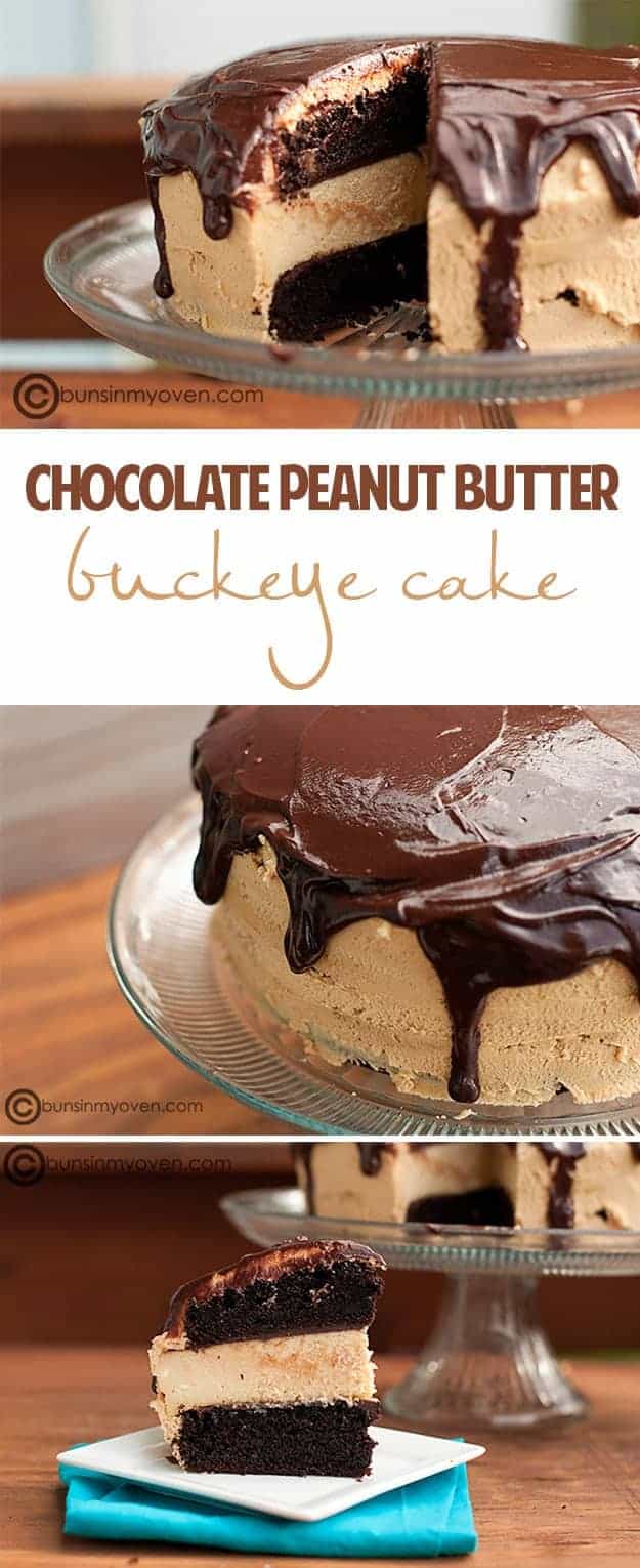 chocolate peanut butter cake recipe poster.