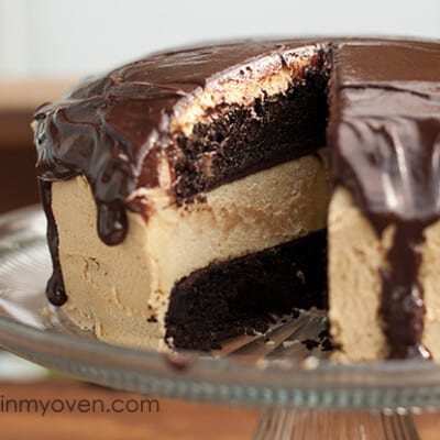 Chocolate peanut butter cake on a cake stand