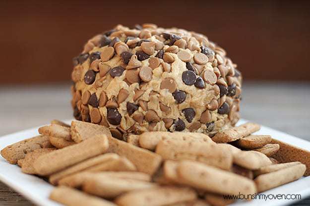 A close up of peanut butter ball with chocolate chips on it