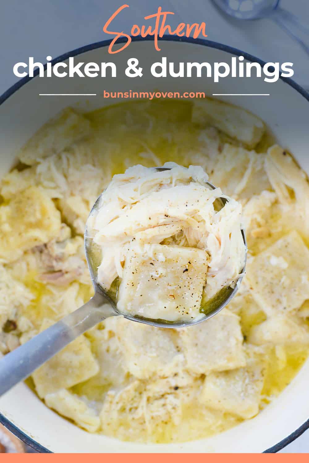 chicken and dumplings on ladle.