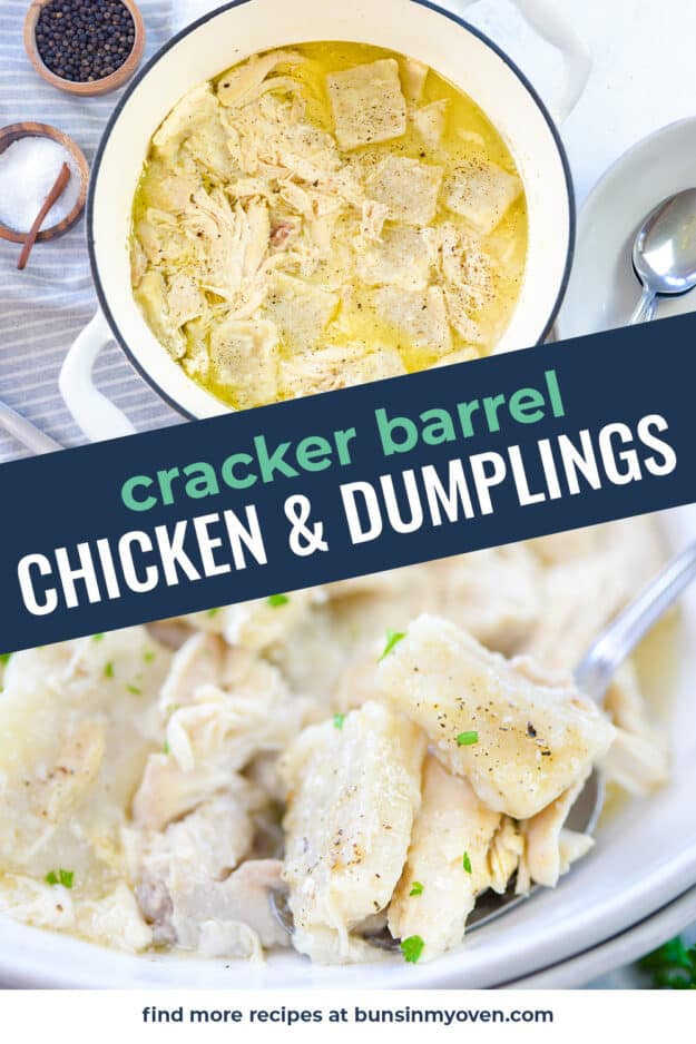 collage of chicken and dumplings images.