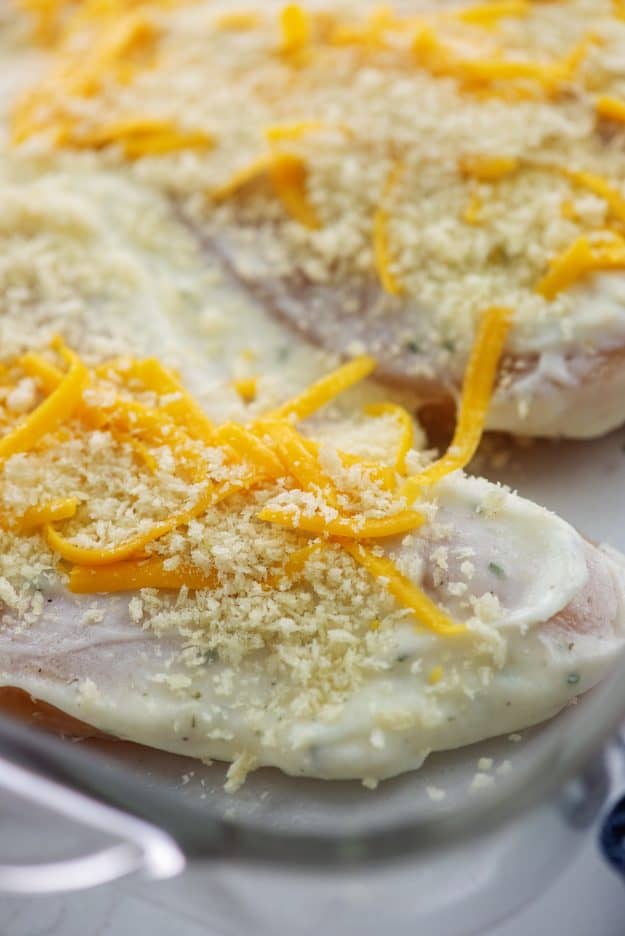 chicken breasts topped with ranch and cheddar in baking dish.