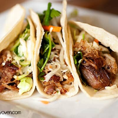 tex-mex carnitas recipe