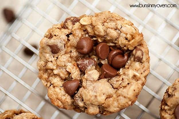 A close up of chocolate chips on an oatmeal cookie.