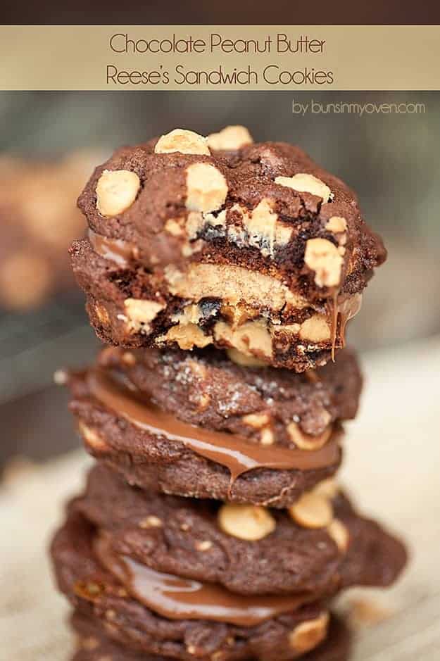 chocolate peanut butter reese's sandwich cookies recipe