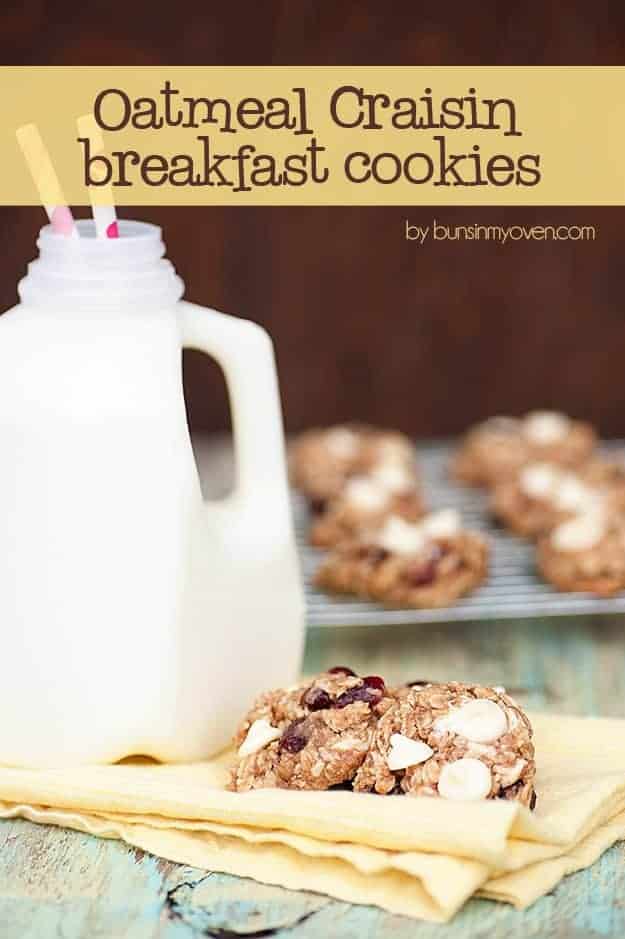 oatmeal craisin breakfast cookies recipe