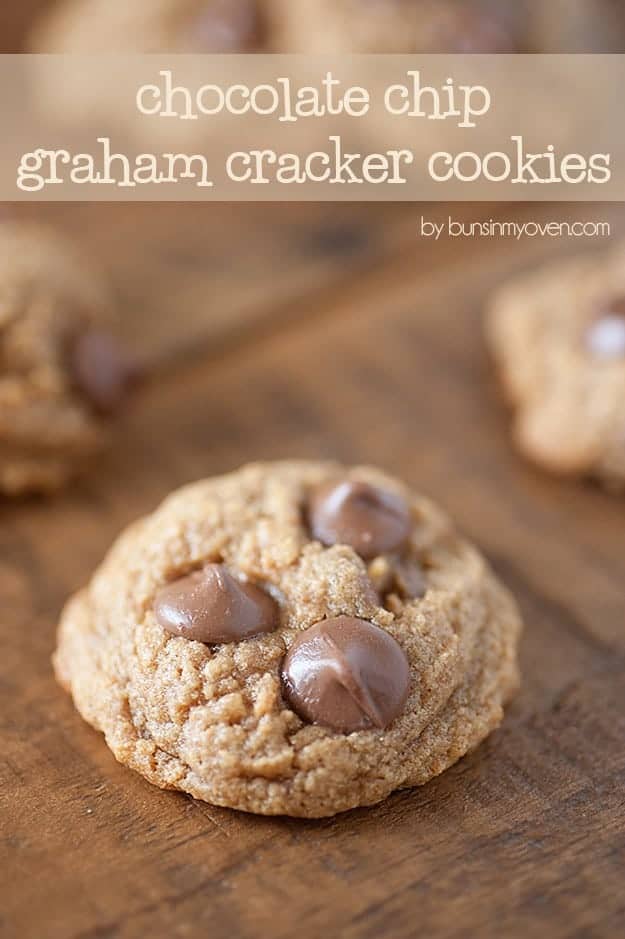 Chocolate Chip Graham Cracker Cookies - a cracker cookie? Yep, and it's delicious! 