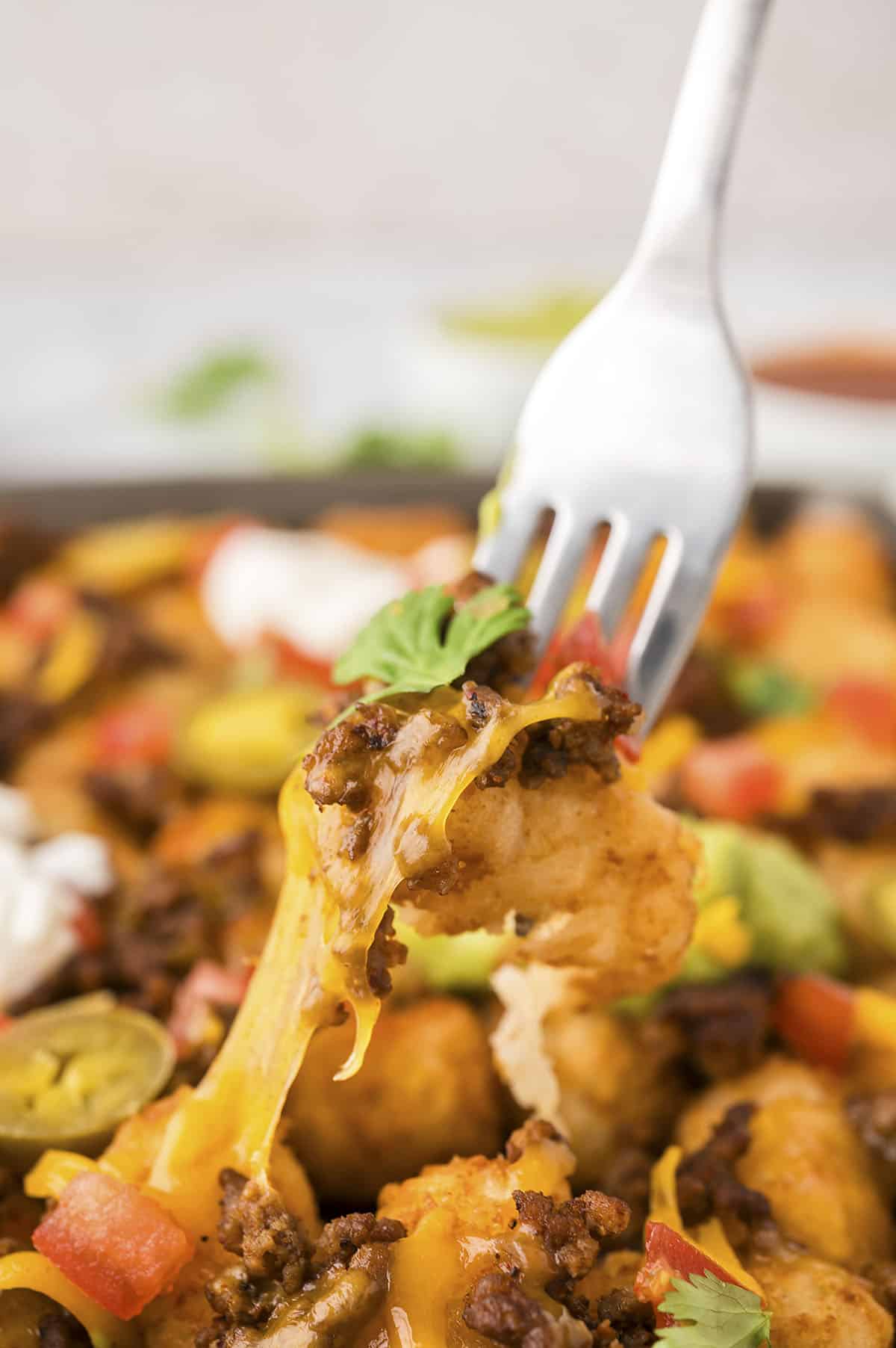 Tater Tot Nachos - an easy summer lunch that kids love!