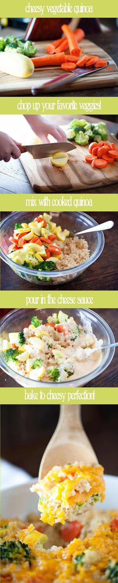 An easy weeknight recipe for a protein packed vegetable quinoa bake! 