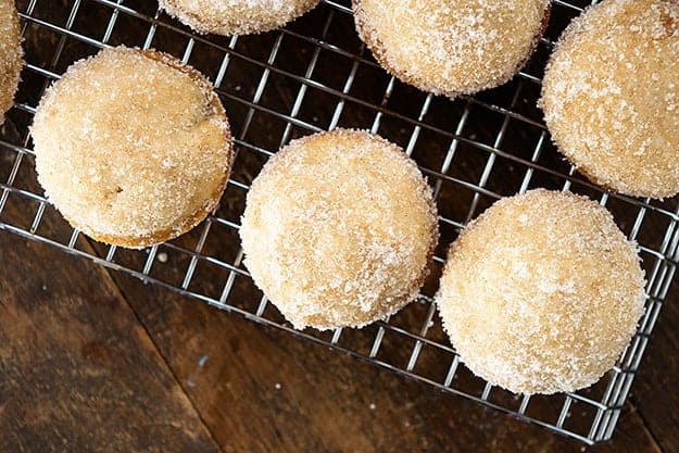 Easy baked donut muffins filled with applesauce for a perfect fall breakfast! taken with a Nikon d3300