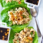 overhead view of asian lettuce wraps on plate.