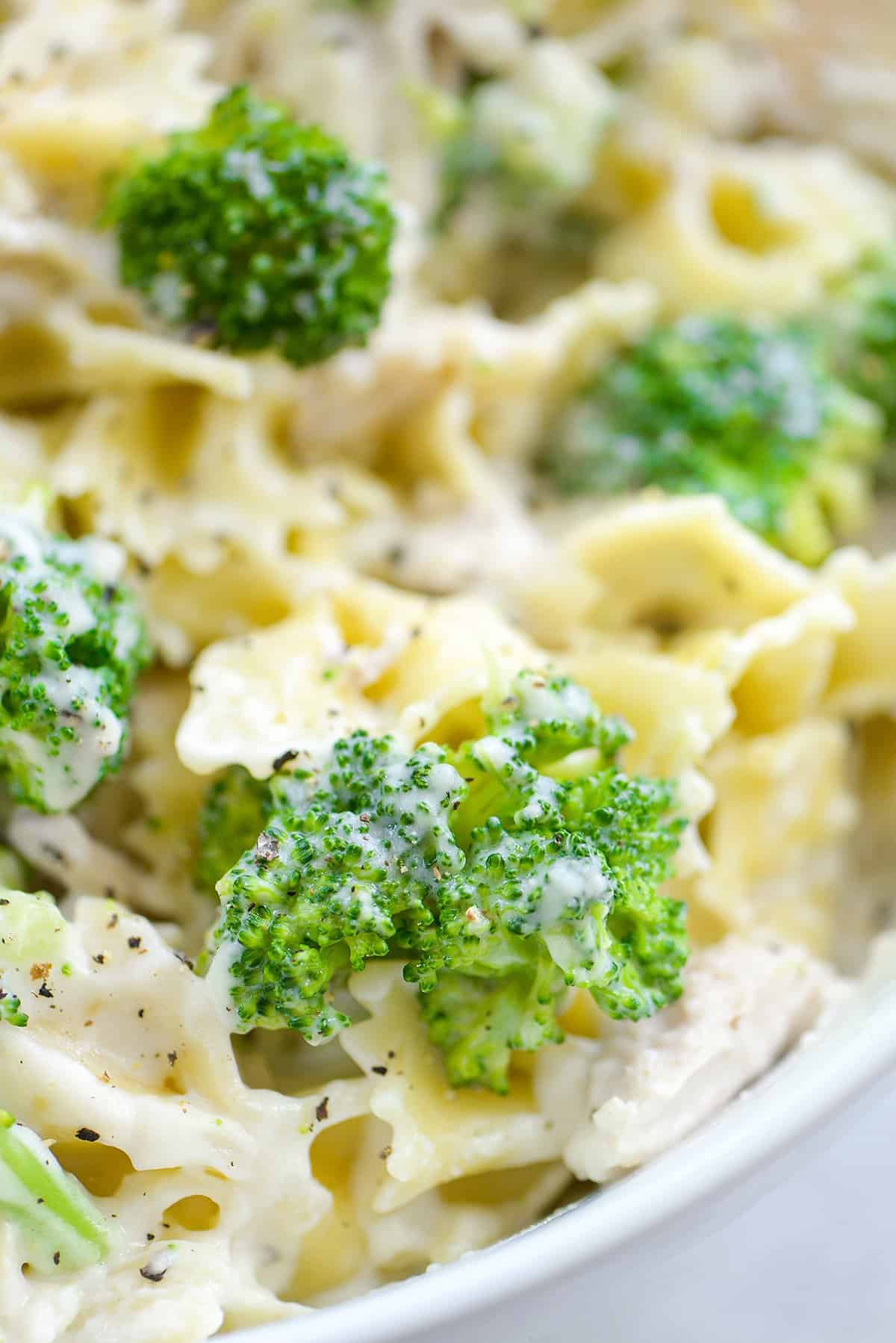 cheesy chicken broccoli pasta in white bowl.