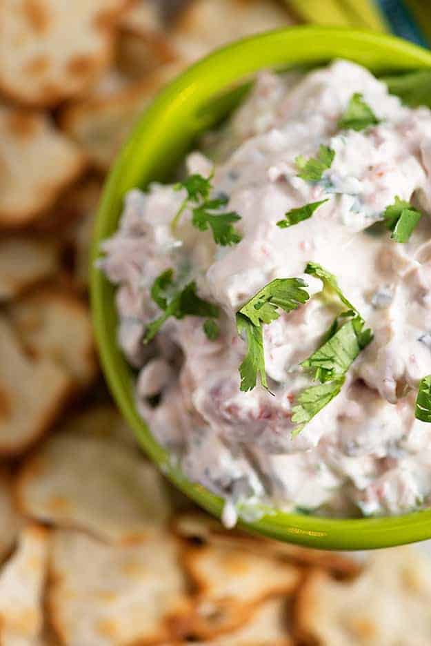 This dip recipe is full of fresh flavors and is perfect for a hot summer day!