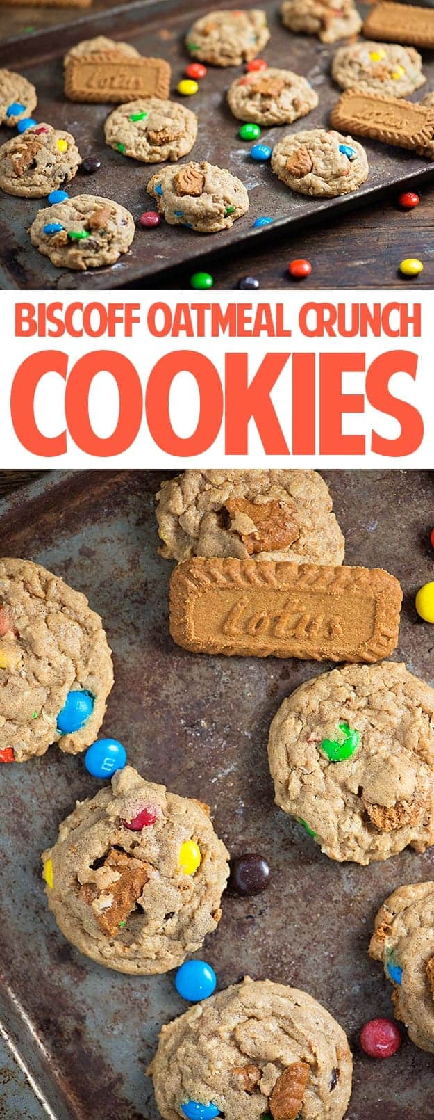 Biscoff Oatmeal Crunch Cookies - made with speculoos cookie butter and plenty of m&m candies!