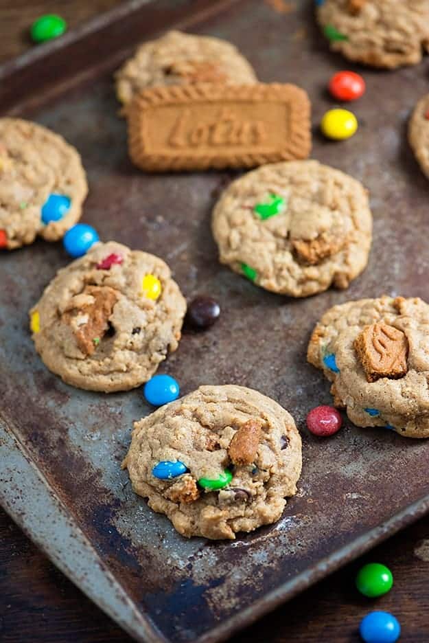 Biscoff Oatmeal Crunch Cookies - made with speculoos cookie butter and plenty of m&m candies!