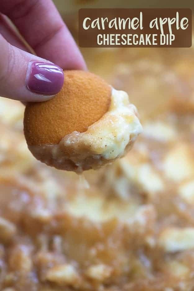 A close up of a vanilla wafer being dipped into a caramel apple dip.