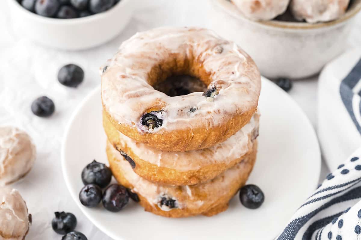 Blueberry Cake Donuts