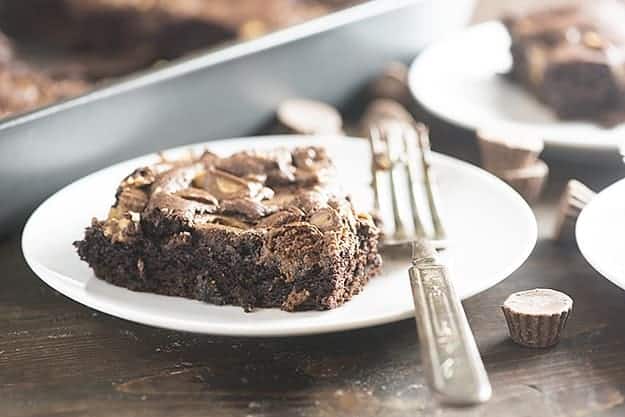 Chocolate peanut butter cake on a white plate with a fork.