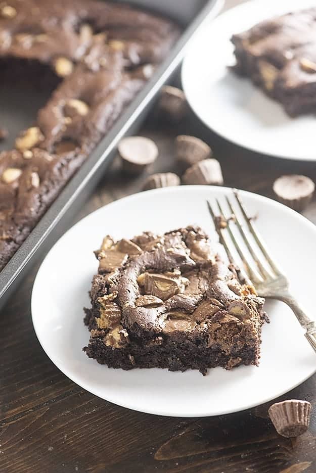 Chocolate peanut butter cake on a white plate.