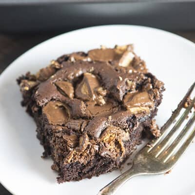 Chocolate peanut butter cake on a white plate with a bite taken out of it.