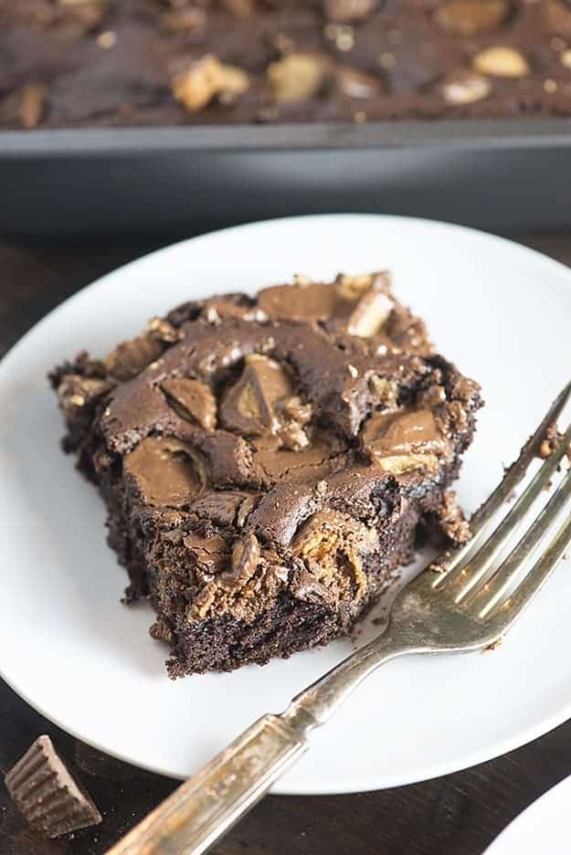 Chocolate peanut butter cake on a white plate with a bite taken out of it.