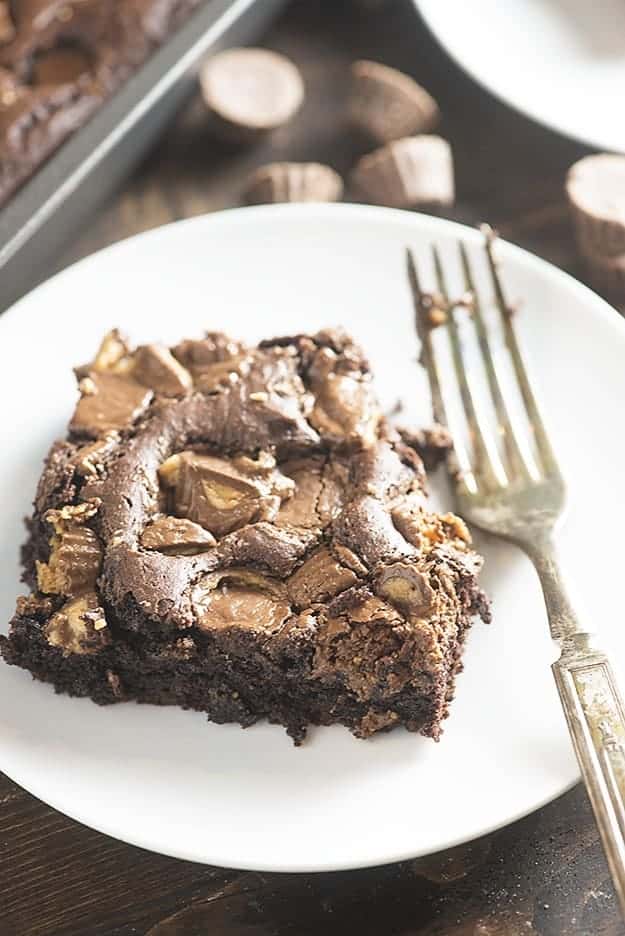 Chocolate peanut butter cake on a white plate with a bite taken out of it.