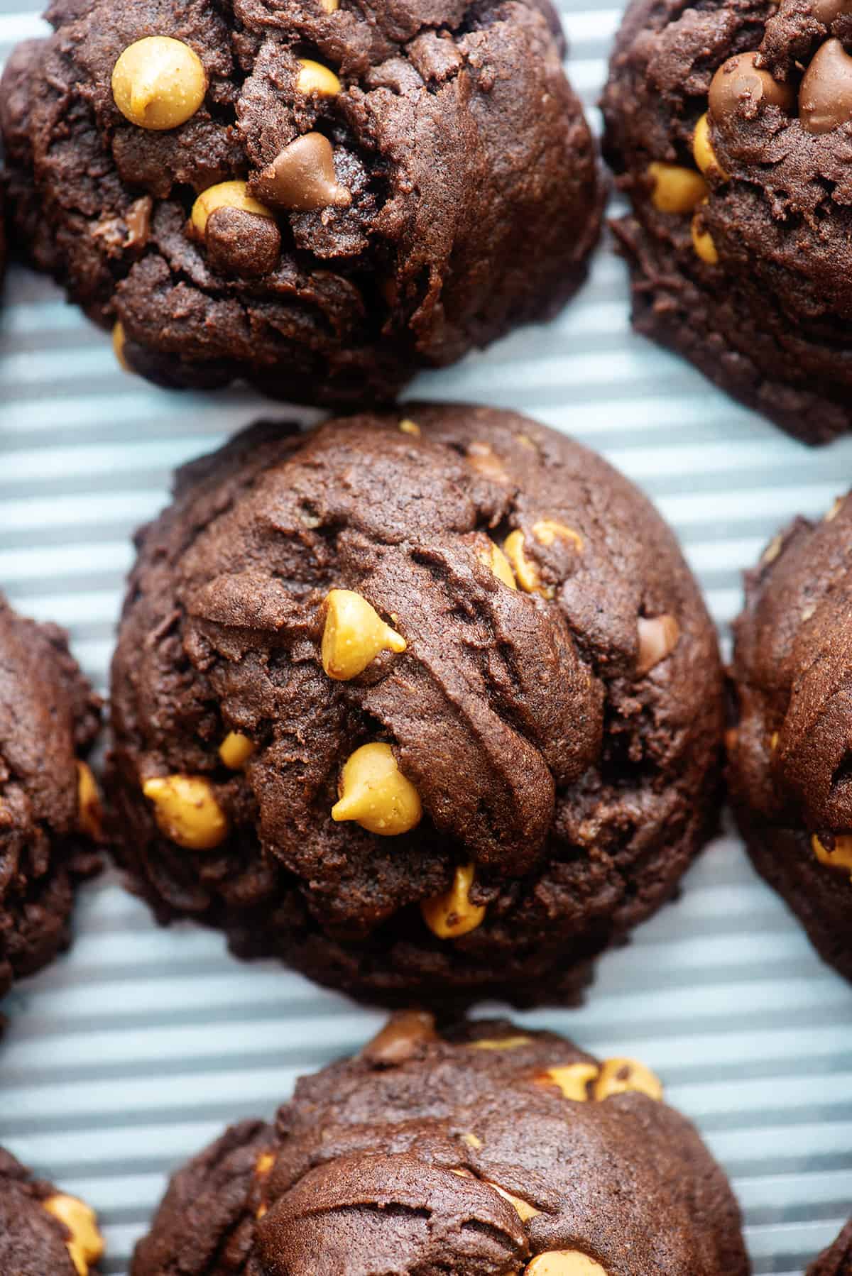 chocolate peanut butter cookies on baking sheet.