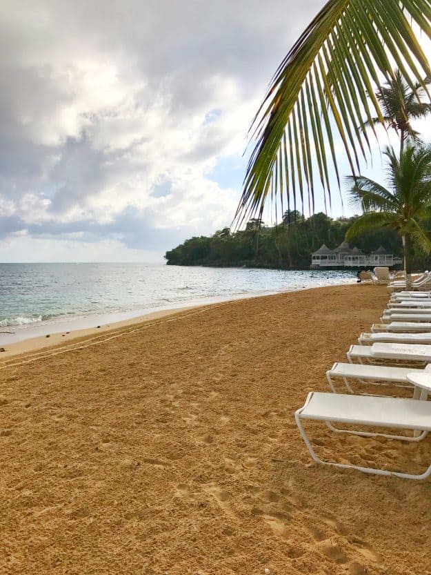 A beach lined with lounge chairs.