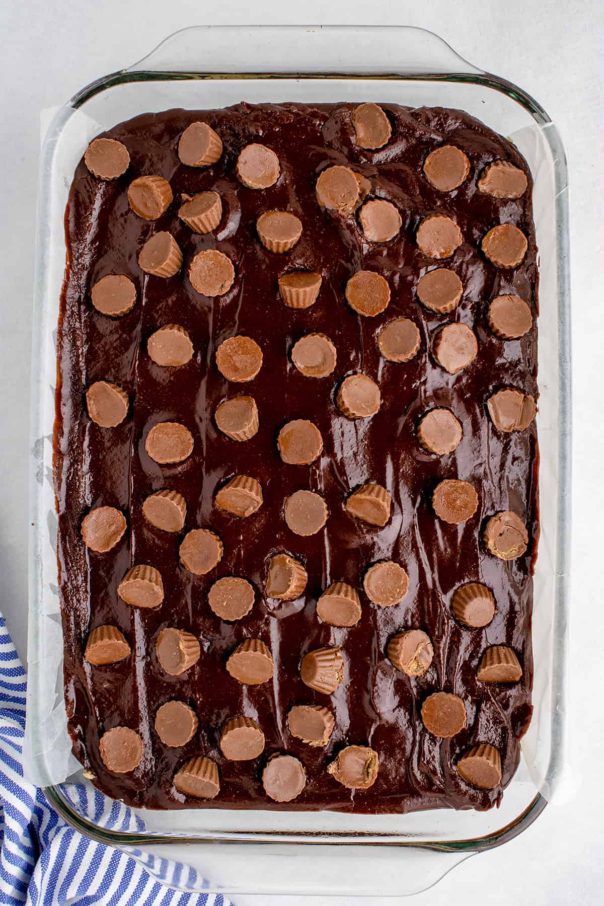 Reese's pressed into chocolate frosting.