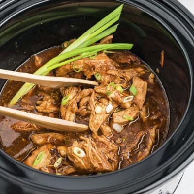 This slow cooker Chinese bourbon chicken is seriously good stuff. We love it served over rice!