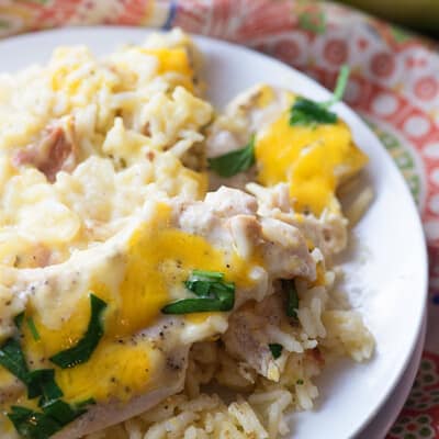 Chicken and rice topped with cheese on a white plate.