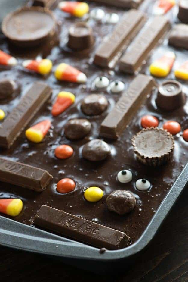 Halloween Brownies - the cutest little Halloween treat!