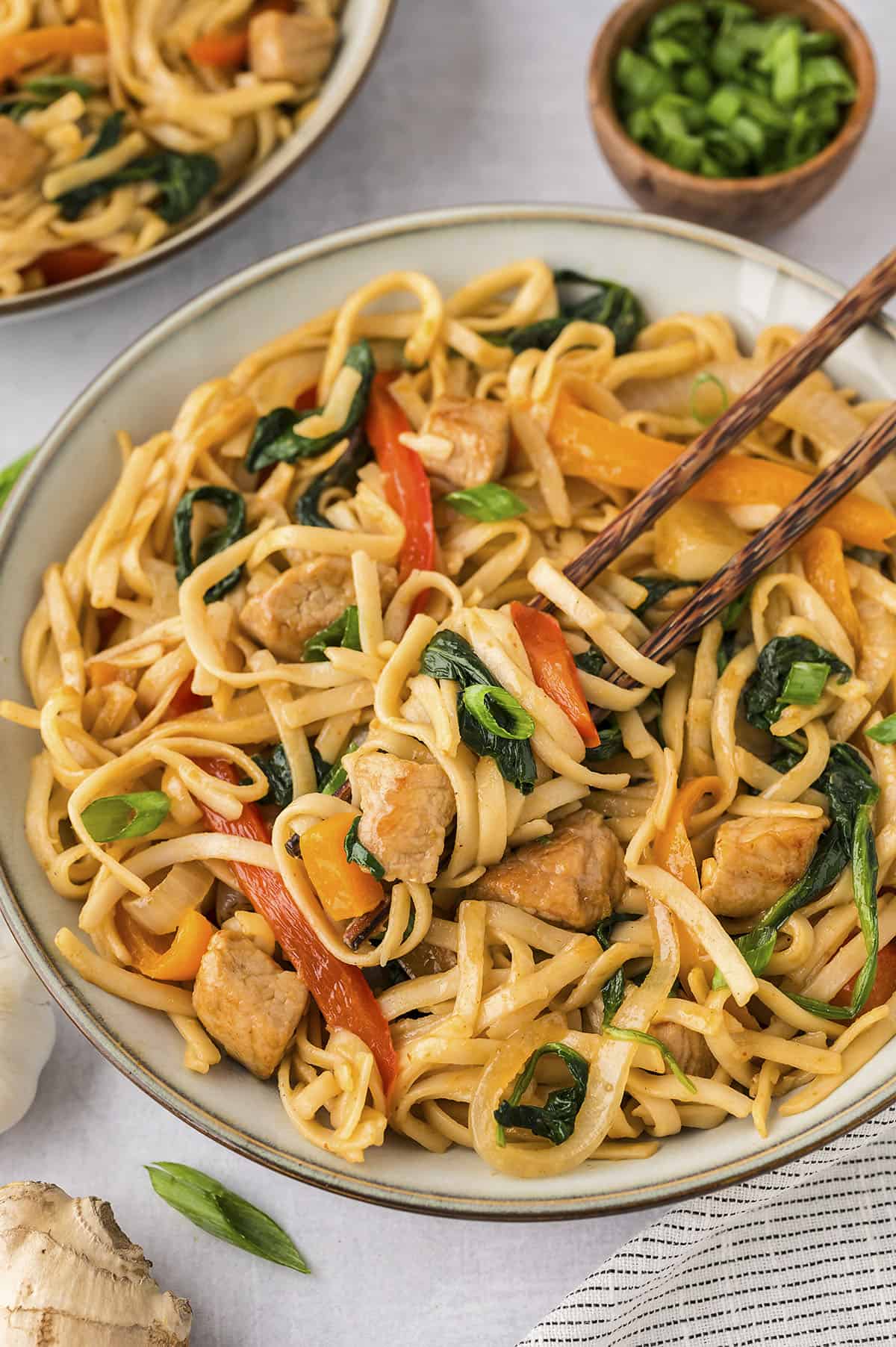 This easy lo mein recipe is full of pork, bell peppers, onions, and spinach. It's ready in less than 30 minutes and even tastier than take out!