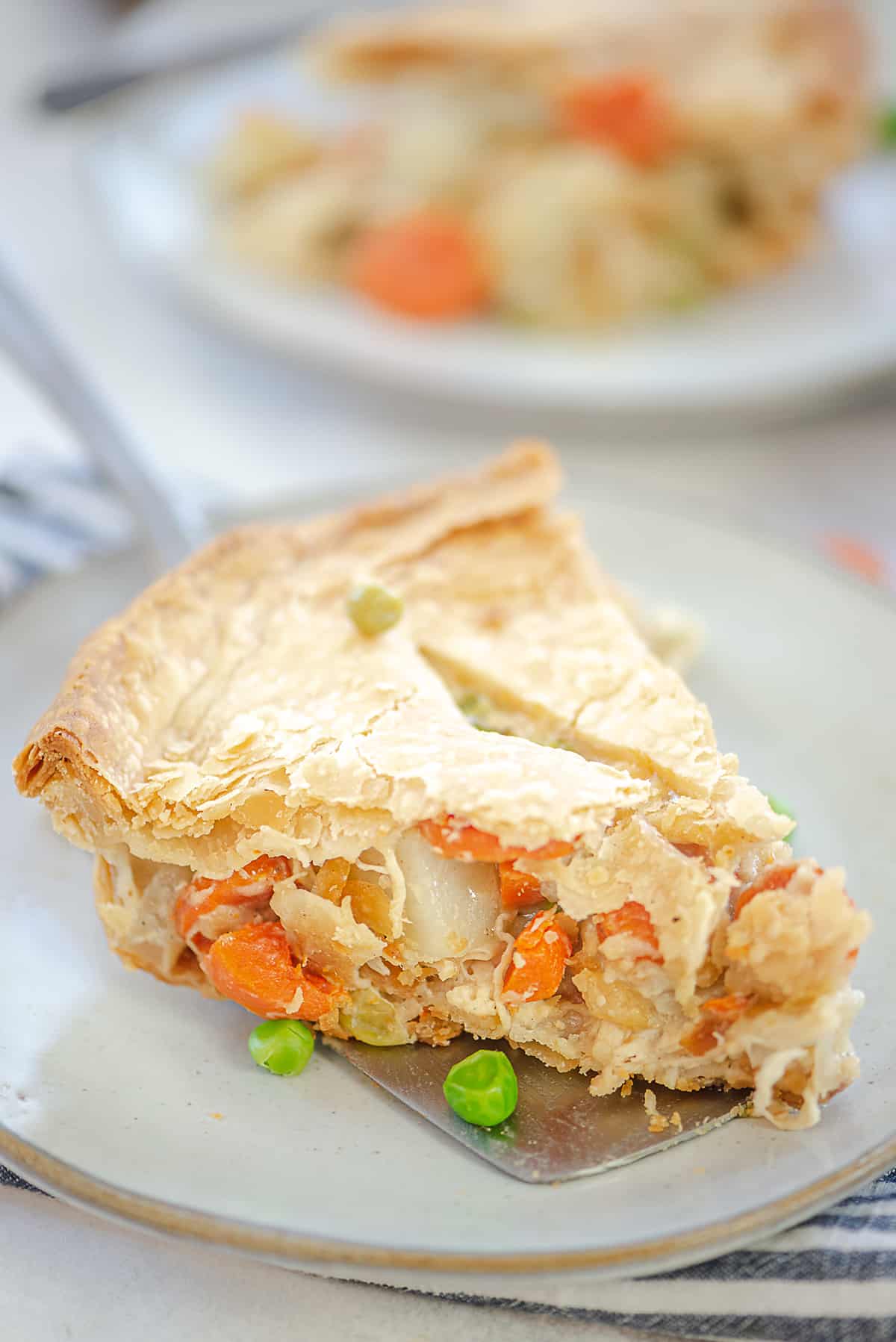 flaky chicken pot pie on plate.