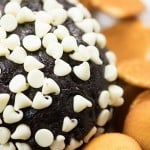 Serve this dessert cheeseball with Nilla wafers or graham crackers! It's good with apple slices too!