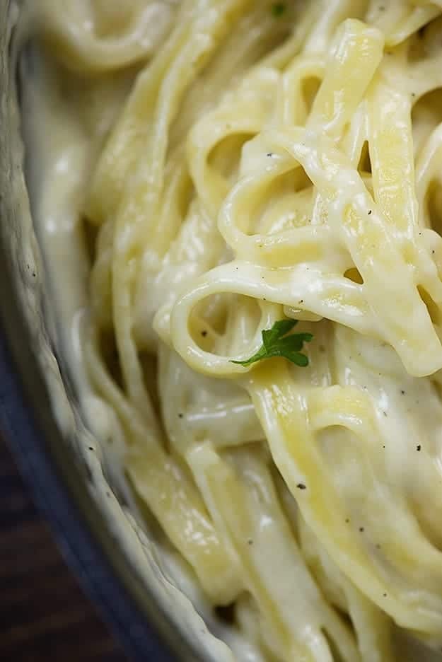 Close up of authentic alfredo sauce over fettucine