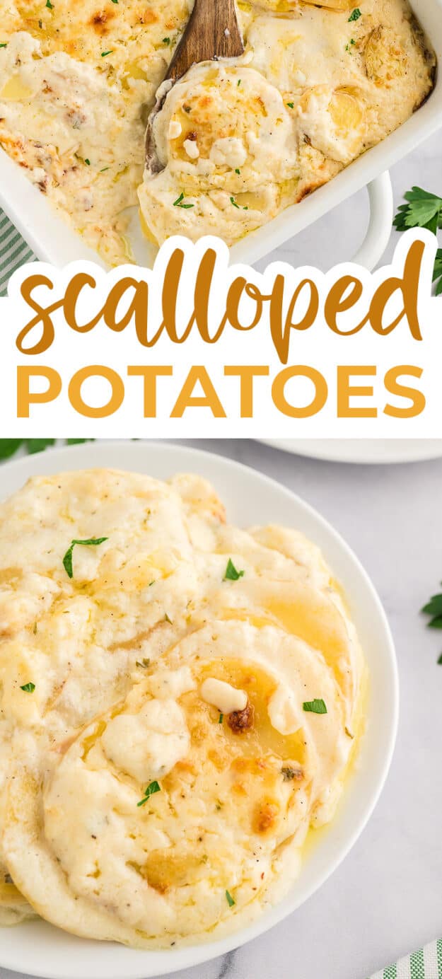 Collage of scalloped potatoes images.